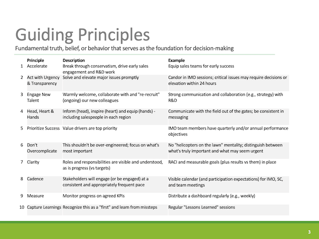 Steering Committee Initial Decisions Guiding Principles
