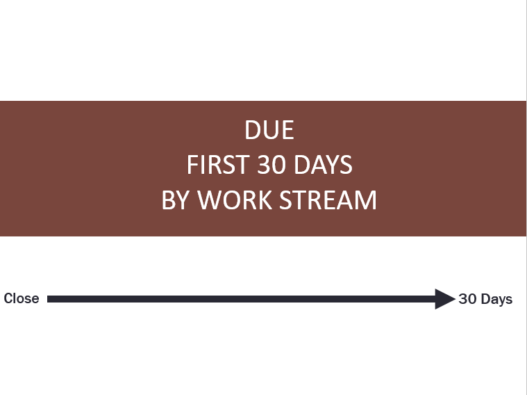 Due First 30 Days By Work Stream