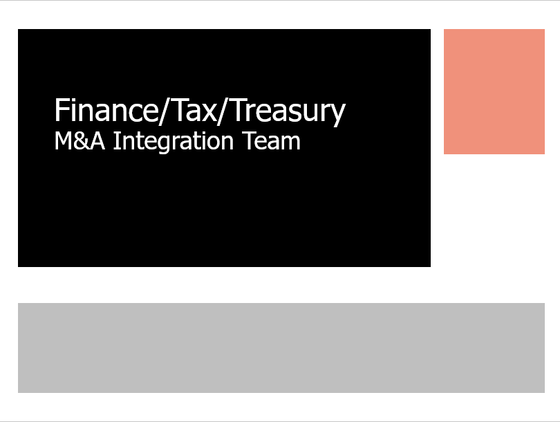 Finance/Tax/Treasury M&A Integration Team