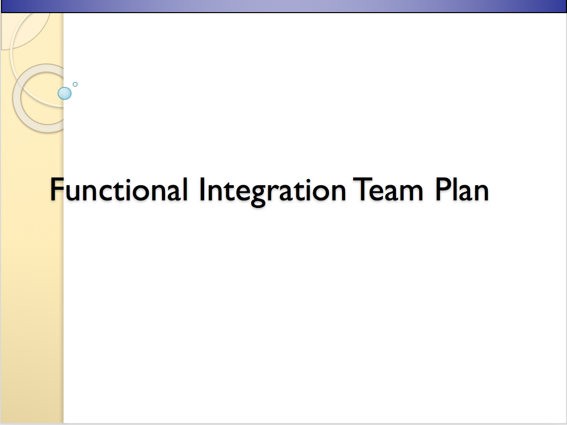 Functional Integration Team Plan