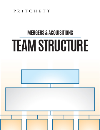 Mergers & Acquisitions Team Structure