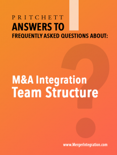 M&A Integration Team Structure