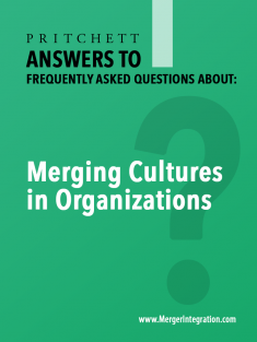 Merging Cultures in Organizations