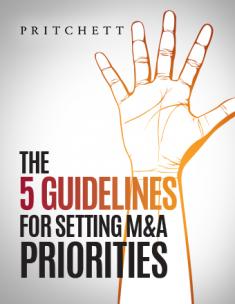 5 Guidelines for Setting M&A Priorities