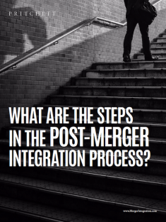 The Steps in the Post-Merger integration Process?
