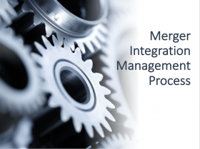 Merger Integration Management Process 