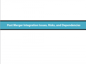 Risks, Dependencies and Mitigation Steps by Function