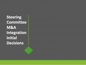 Steering Committee M&A Integration Initial Decisions